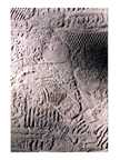 foot prints card